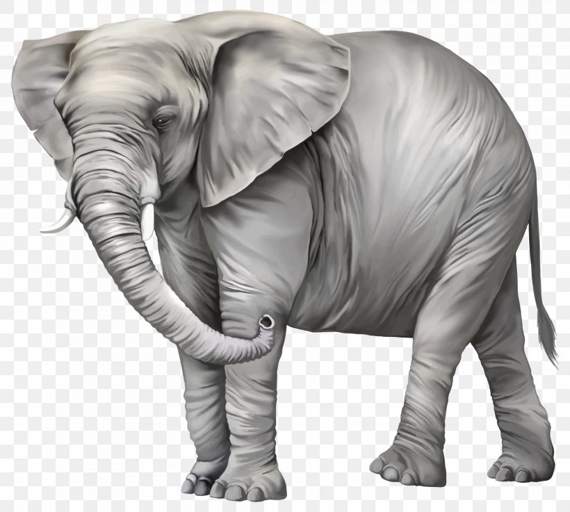Elephant Clip Art, PNG, 2597x2337px, Elephant, African Elephant, Black And White, Diagram, Elephants And Mammoths Download Free