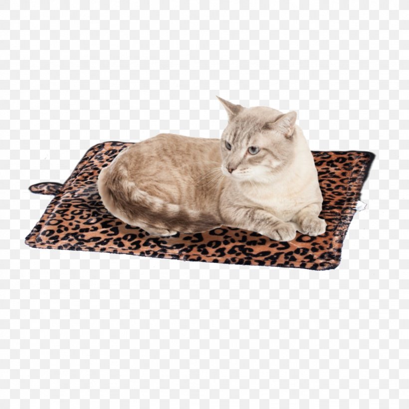 Leopard Felidae Cat Cheetah Pet, PNG, 1024x1024px, Leopard, Bed, Big Cat, Blanket, Cat Download Free