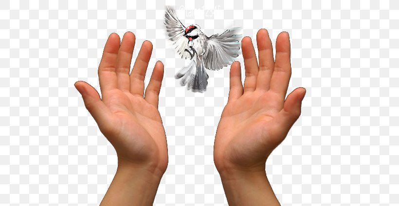 Praying Hands Prayer Love, PNG, 640x425px, Praying Hands, Christian Prayer, Finger, Hamsa, Hand Download Free