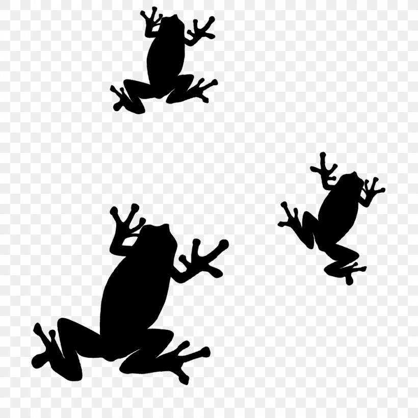 Toad Frog Silhouette Clip Art, PNG, 1000x1000px, Toad, Amphibian, Artwork, Black And White, Branch Download Free