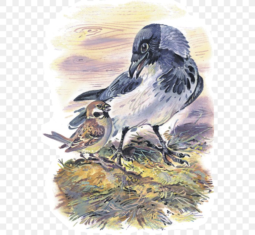Bird House Sparrow Лесные сказки Сказки Лесные шорохи: [рассказы и сказки о родной природе : для мл. шк. возраста], PNG, 556x757px, Bird, Beak, Common Raven, Crow, Crow Like Bird Download Free