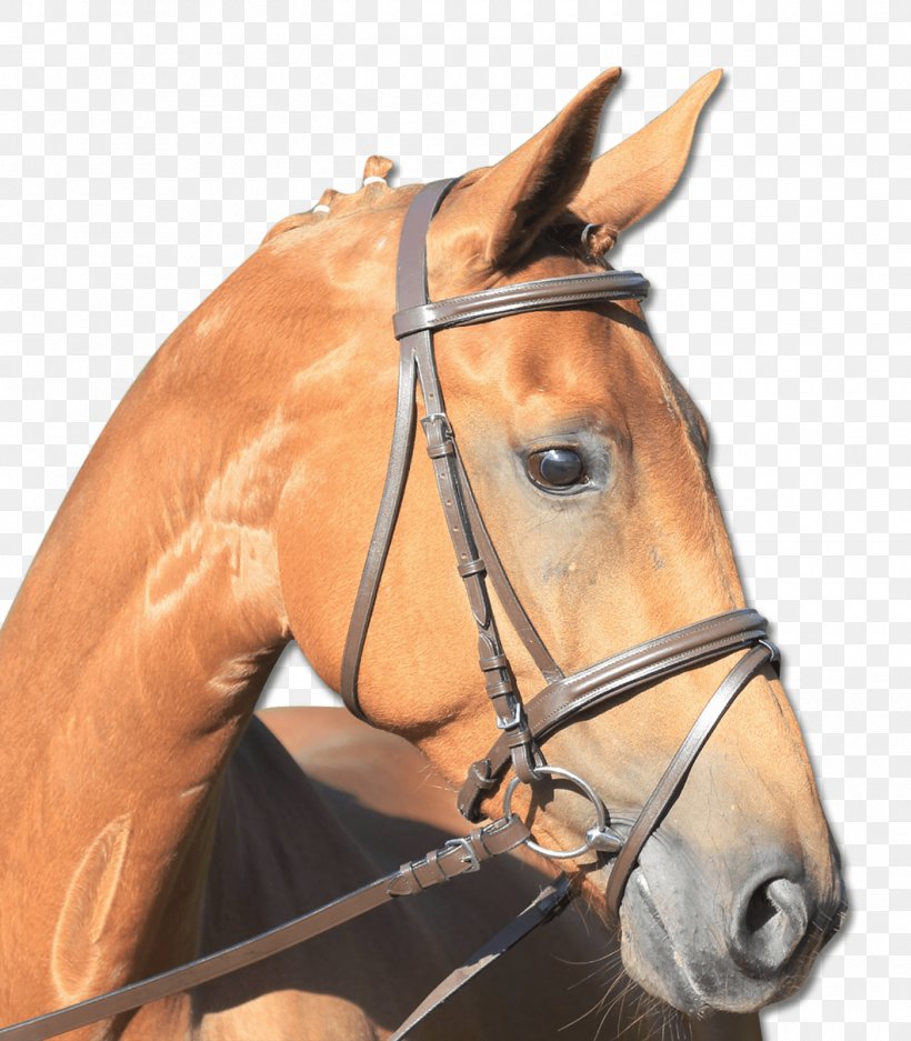 Halter Shetland Pony Bridle Bit, PNG, 1400x1600px, Halter, Bit, Bridle, Brown, Cabezada Download Free