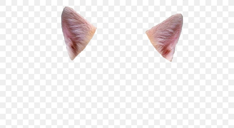 Ear Cat Felidae Deer 0, PNG, 600x450px, 2016, Ear, Alcoholic Drink, Antenna, Cat Download Free