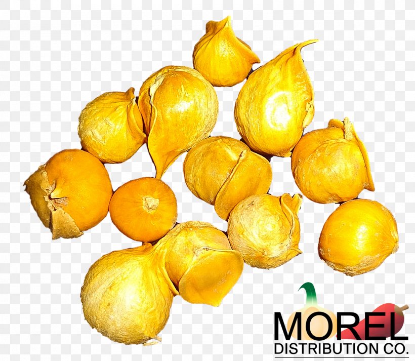 Garlic Medicinal Plants Japanese Allicin Vegetable, PNG, 1600x1393px, Garlic, Allicin, Arizona, Citrus, Coffee Download Free