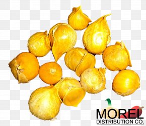 Garlic - Garlic Medicinal Plants Japanese Allicin Vegetable PNG