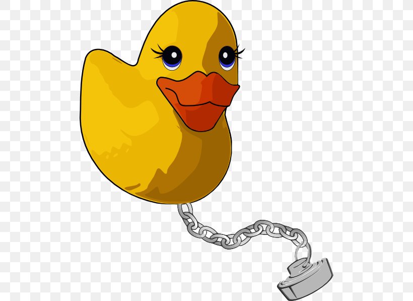 Donald Duck Mallard Clip Art, PNG, 504x597px, Duck, Animation, Beak, Bird, Cartoon Download Free