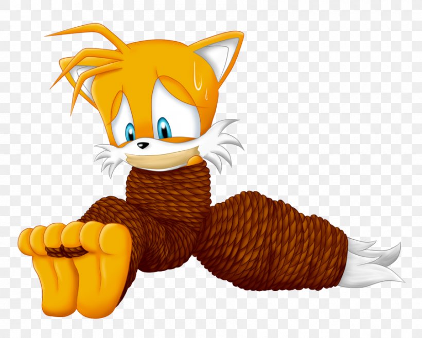 Whiskers Fox Cat Tails, PNG, 900x722px, Whiskers, Art, Canidae, Carnivoran, Cartoon Download Free