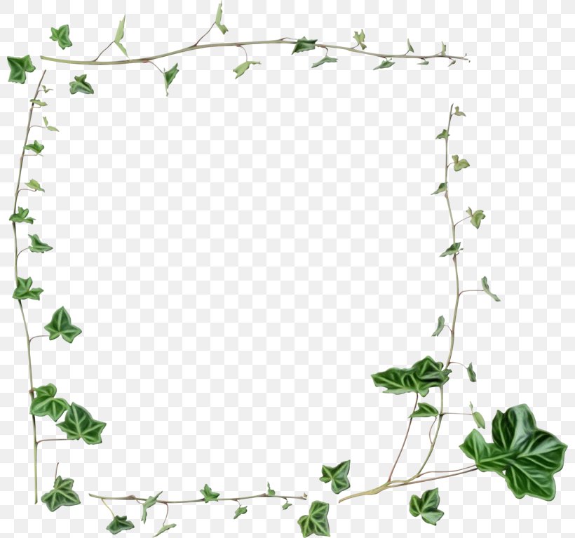 Background Flower Frame, PNG, 800x767px, Borders And Frames, Common Ivy, Drawing, Flower, Ivy Download Free
