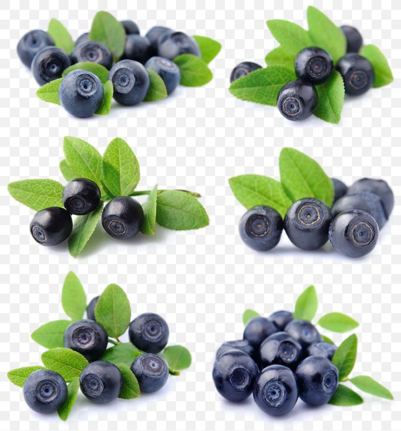 Blueberry Fruit Bilberry Lingonberry, PNG, 1100x1182px, Juice, Berry, Bilberry, Blueberry, Chokeberry Download Free
