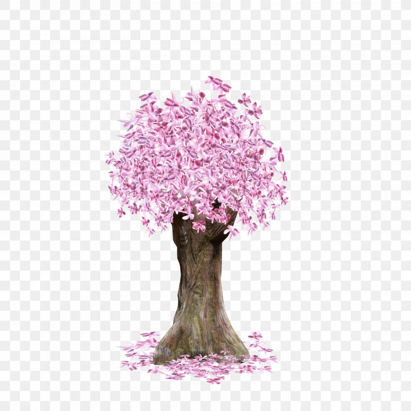 Cherry Blossom Spring Petal ST.AU.150 MIN.V.UNC.NR AD, PNG, 3600x3600px, Cherry Blossom, Blossom, Branch, Branching, Cherry Download Free