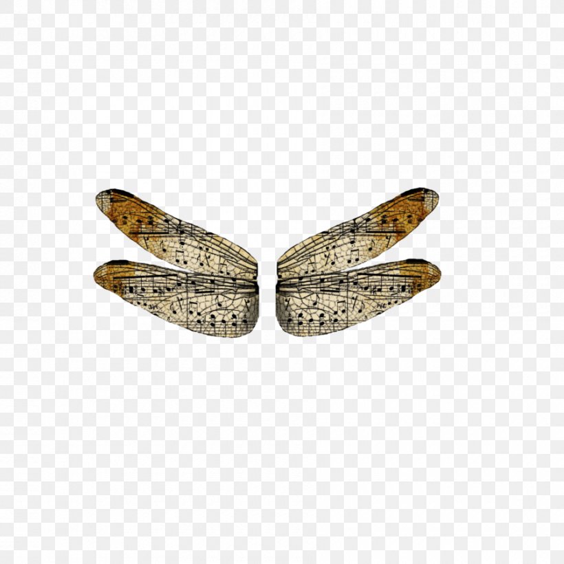 Insect Wing Photography Drawing, PNG, 900x900px, Insect Wing, Art, Dragonfly, Drawing, Jewellery Download Free