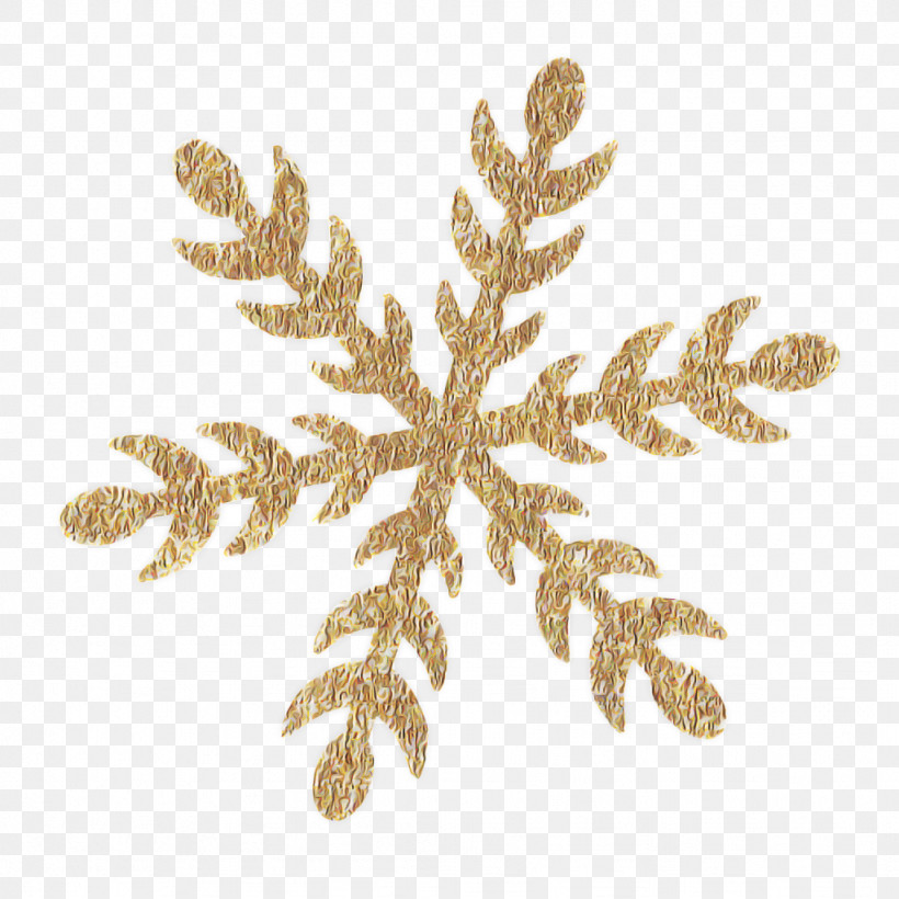 Fern, PNG, 1024x1024px, Leaf, American Larch, Branch, Colorado Spruce, Fern Download Free
