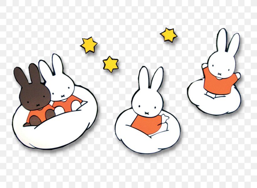 Miffy Nijntje Kleerhangers About Us European Rabbit Book, PNG, 800x600px, Miffy, About Us, Book, Cartoon, Clothes Hanger Download Free