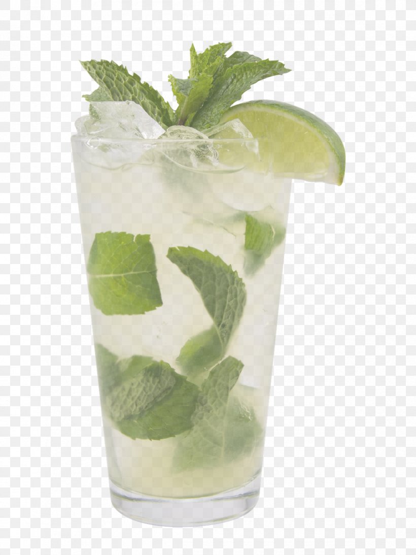 Mojito, PNG, 1170x1560px, Cocktail Garnish, Alcoholic Beverage, Drink, Highball Glass, Lime Juice Download Free