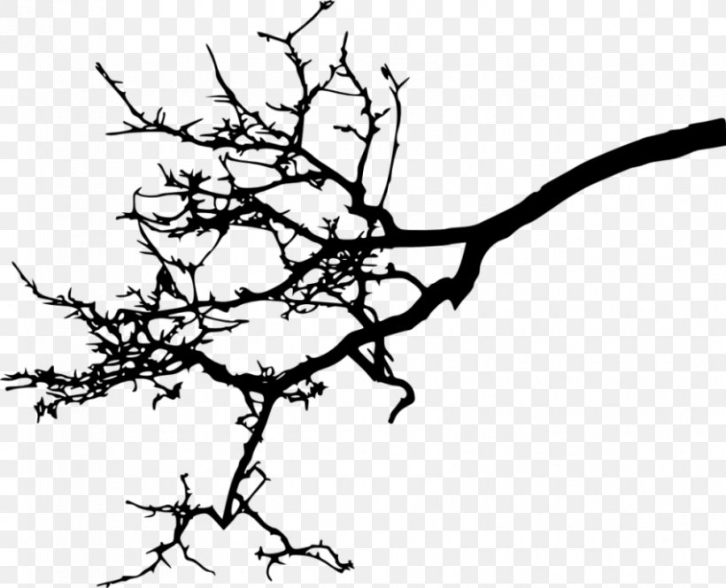 Twig Branch Clip Art, PNG, 850x690px, Twig, Black And White, Branch, Drawing, Flora Download Free