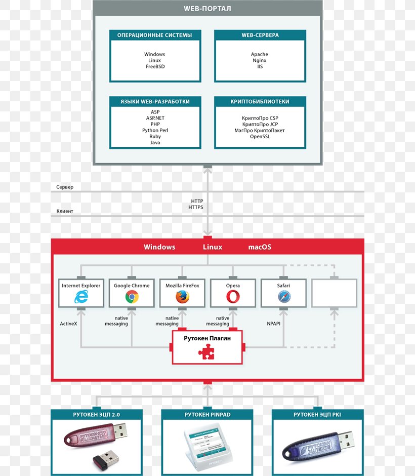 Web Page Brand, PNG, 620x940px, Web Page, Area, Brand, Diagram, Media Download Free