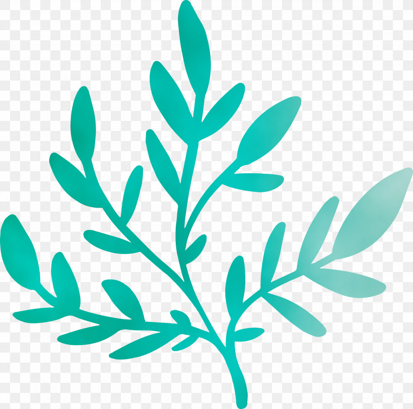 Branch Plant Stem Leaf Turquoise Lawn, PNG, 3000x2973px, Watercolor, Biology, Branch, Lawn, Leaf Download Free