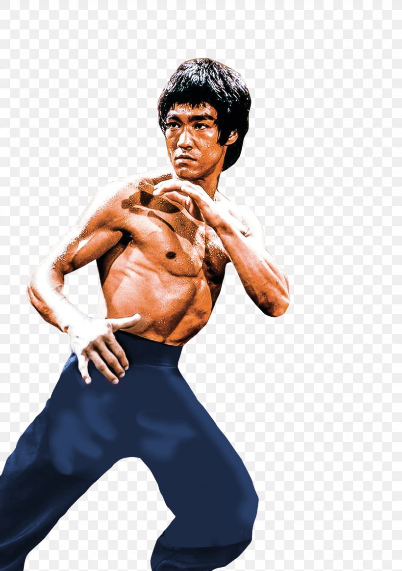 Bruce Lee Enter The Dragon Martial Arts Film, PNG, 1024x1453px, Watercolor, Cartoon, Flower, Frame, Heart Download Free