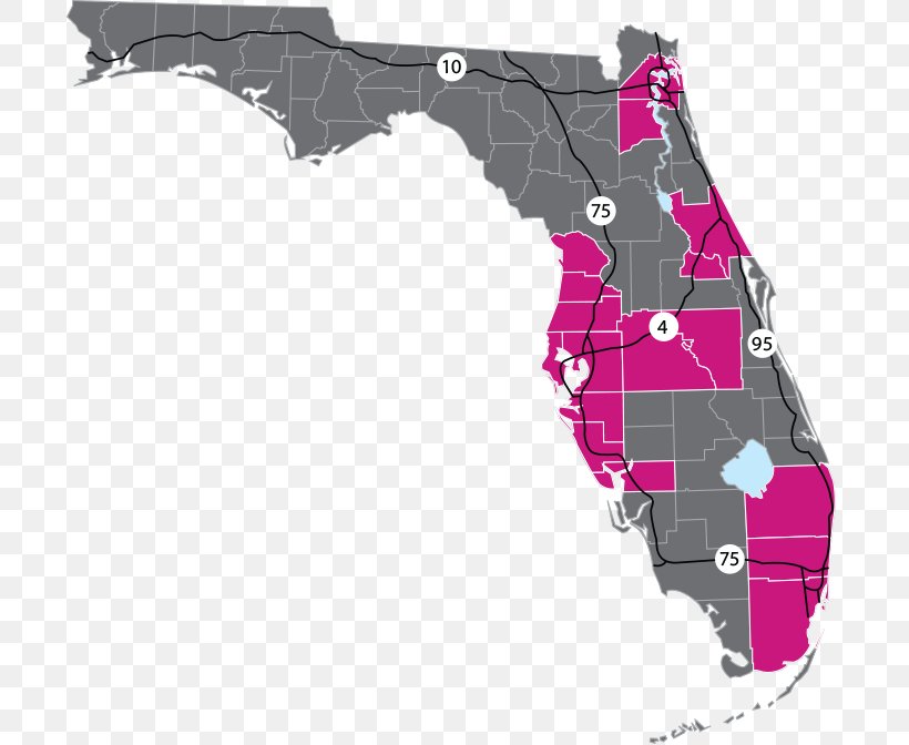 Florida Topographic Map World Map Topography, PNG, 700x672px, Florida, Area, City Map, Contour Line, Map Download Free