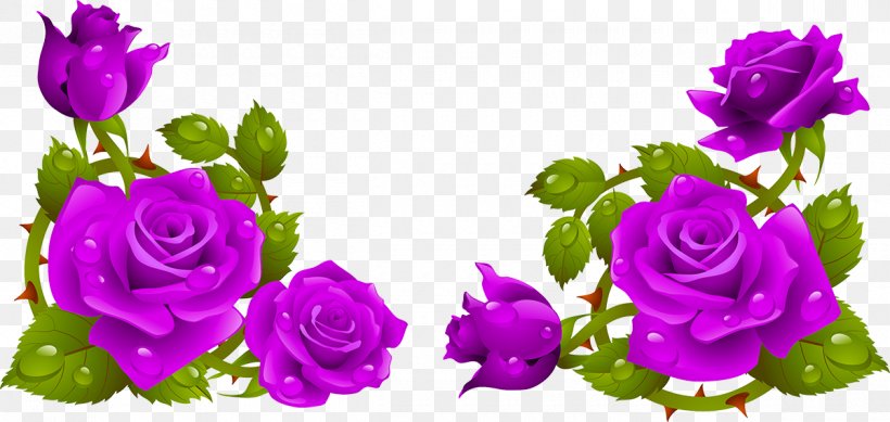 Garden Roses Flower Clip Art, PNG, 1200x570px, Rose, Annual Plant, Cut Flowers, Floral Design, Floristry Download Free
