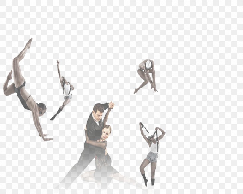 Performing Arts Dance Ballet Blog, PNG, 1000x800px, Performing Arts, Arm, Art, Arts, Ballet Download Free