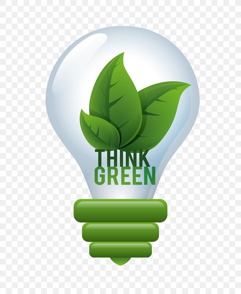 Photography Green, PNG, 800x1000px, Photography, Electricity, Energy, Environment, Environmental Protection Download Free