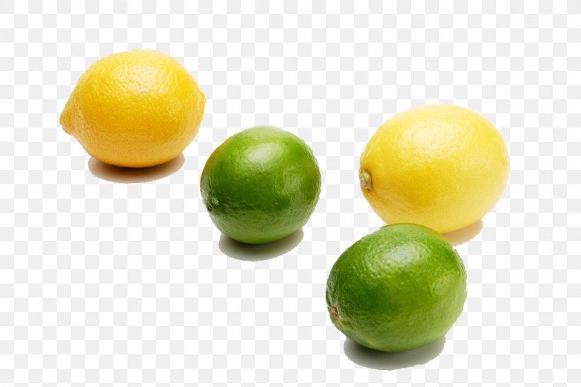 Sweet Lemon Key Lime Persian Lime, PNG, 1024x683px, Lemon, Auglis, Citric Acid, Citron, Citrus Download Free