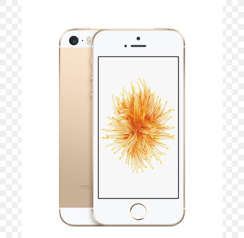 Apple IPhone 5s Telephone 64 Gb, PNG, 800x800px, 64 Gb, Apple, Communication Device, Gold, Iphone Download Free
