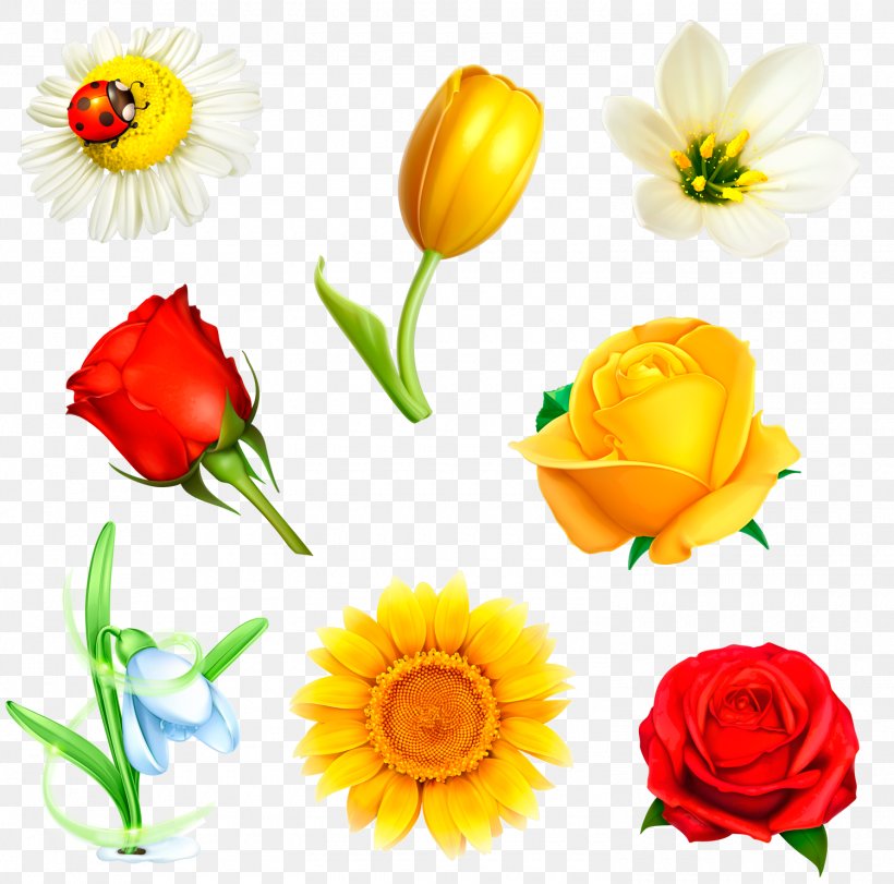 Flower Drawing Floral Design, PNG, 1500x1484px, Flower, Color, Cut Flowers, Drawing, Floral Design Download Free