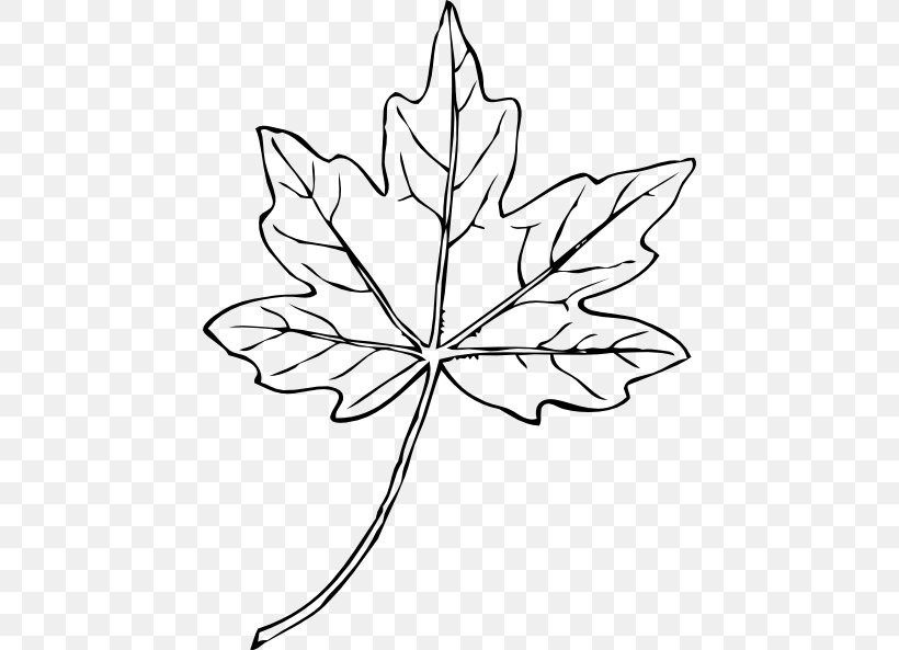 Maple Leaf Drawing Clip Art, PNG, 450x593px, Maple Leaf, Autumn Leaf Color, Black, Black And White, Drawing Download Free