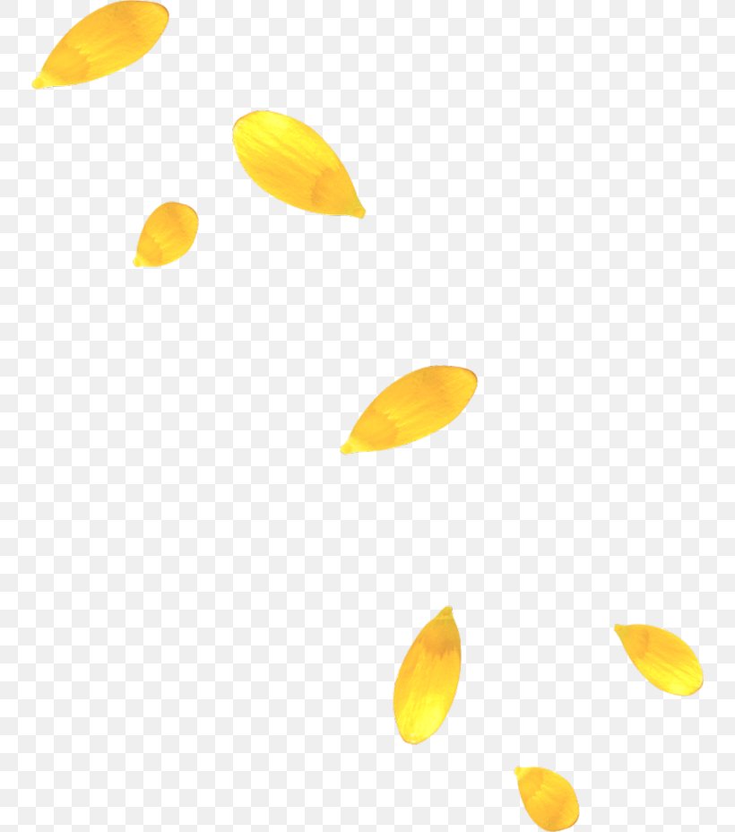 Petal Yellow Clip Art, PNG, 750x928px, Petal, Color, Flower, Gold, Leaf Download Free