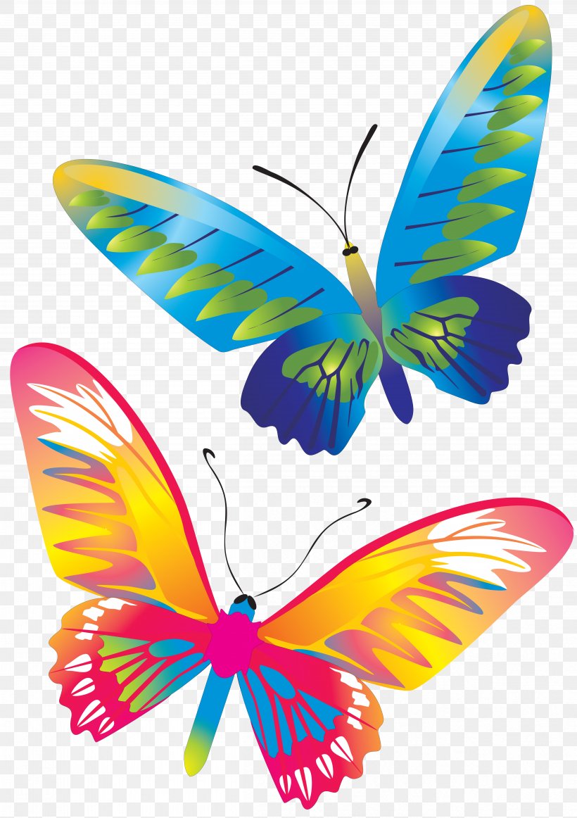 Butterfly CorelDRAW, PNG, 4836x6853px, Butterfly, Brush Footed Butterfly, Butterflies And Moths, Coreldraw, Graphic Designer Download Free