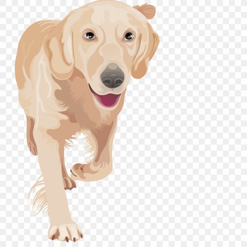 Golden Retriever Labrador Retriever Euclidean Vector Pet, PNG, 900x900px, Golden Retriever, Animal, Carnivoran, Companion Dog, Dog Download Free