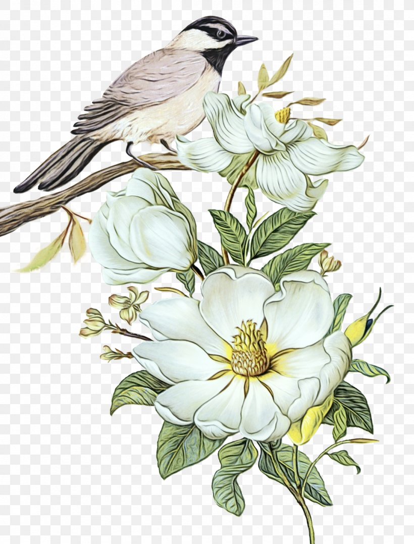 Oil Painting Flower, PNG, 1094x1437px, Flower, Beak, Bird, Blackview, Cuckoo Download Free