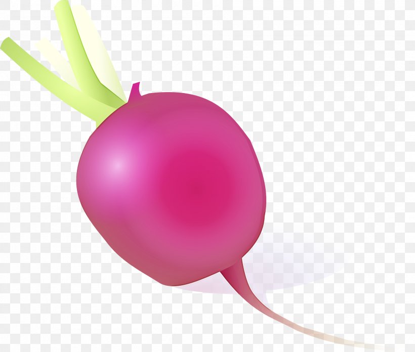 Radish Pink Vegetable Balloon Turnip, PNG, 1920x1630px, Radish, Balloon, Magenta, Party Supply, Pink Download Free