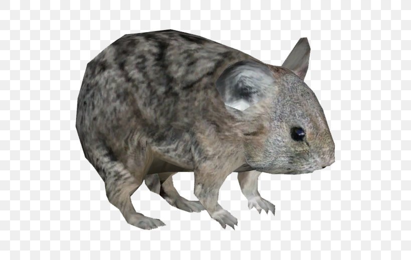 Zoo Tycoon 2: Marine Mania Hamster American Pika Animal, PNG, 519x519px, Zoo Tycoon 2 Marine Mania, American Pika, Animal, Common Degu, Degu Download Free