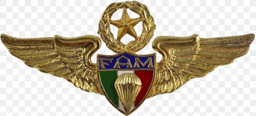 Badge Emblem, PNG, 943x427px, Badge, Emblem, Wing Download Free