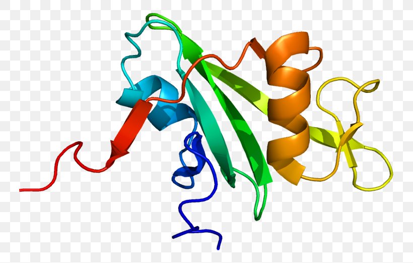 Bcr-Abl Tyrosine-kinase Inhibitor Philadelphia Chromosome Protein Oncogene, PNG, 793x521px, Abl, Artwork, Bcr, Bcrabl Tyrosinekinase Inhibitor, Chromosomal Translocation Download Free
