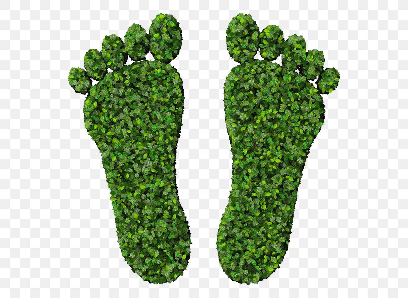 Footprint Euclidean Vector Green Stock Photography, PNG, 600x600px, Foot, Carbon Footprint, Digit, Fact, Footprint Download Free
