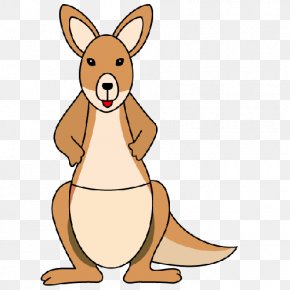 Joey Kangaroo Clip Art, Png, 750x552px, Kangaroo, Animal Figure 