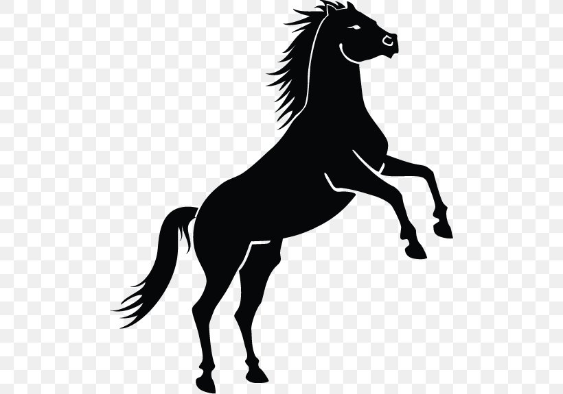 Mustang Equestrian Rearing Clip Art, PNG, 500x575px, Mustang, Black And White, Bridle, Colt, English Riding Download Free