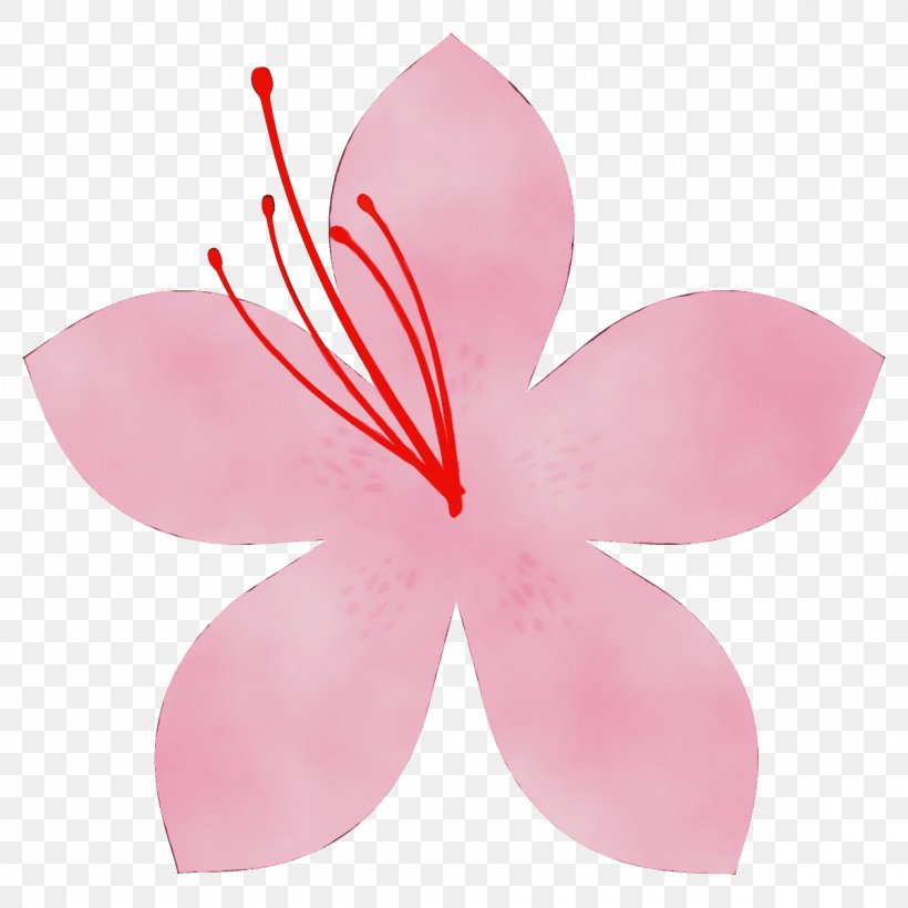 Petal Pink Flower Plant Pedicel, PNG, 1200x1200px, Watercolor, Flower, Hibiscus, Paint, Pedicel Download Free