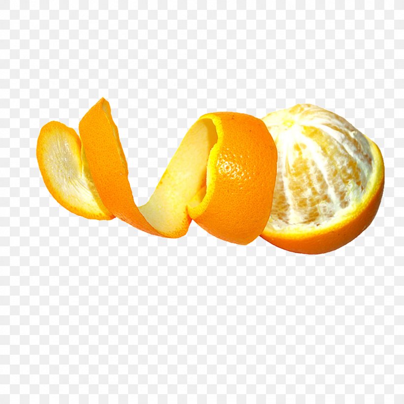 Image Vector Graphics Fruit Download, PNG, 1024x1024px, Fruit, Citric Acid, Citron, Citrus, Clementine Download Free