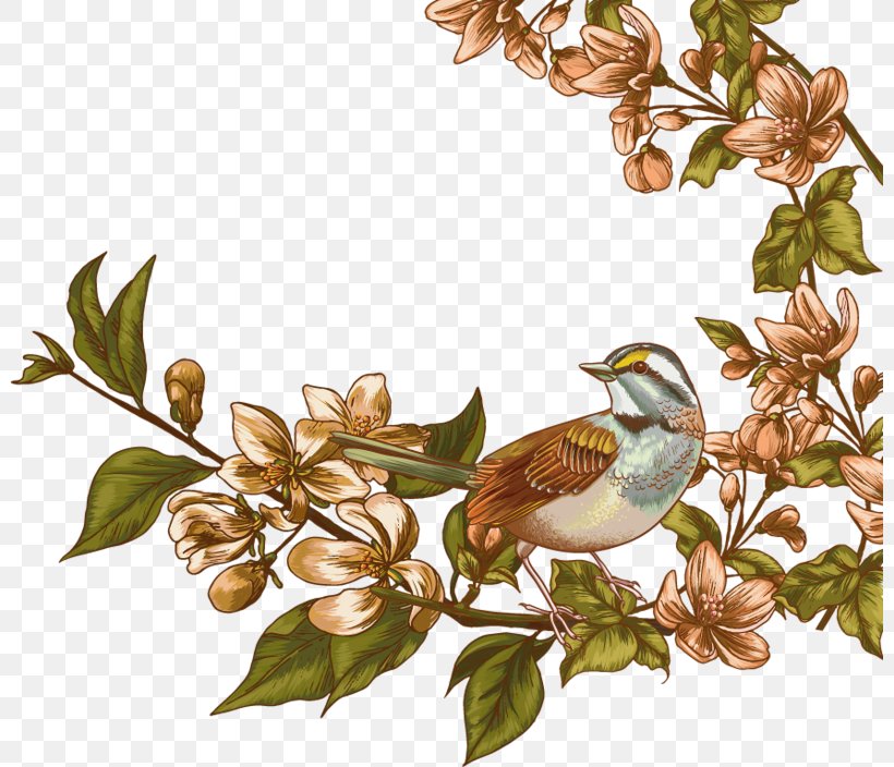 Watercolor Painting Watercolour Flowers, PNG, 800x704px, Watercolor Painting, Bird, Branch, Drawing, Flower Download Free