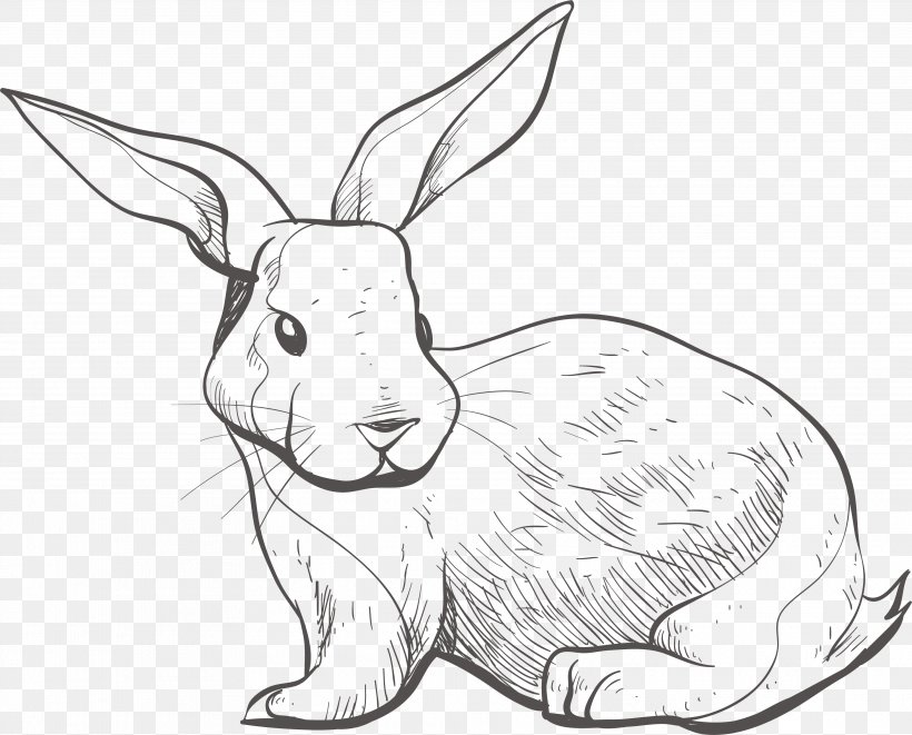 Domestic Rabbit Hare, PNG, 3748x3022px, Domestic Rabbit, Art, Artwork, Black And White, Child Download Free
