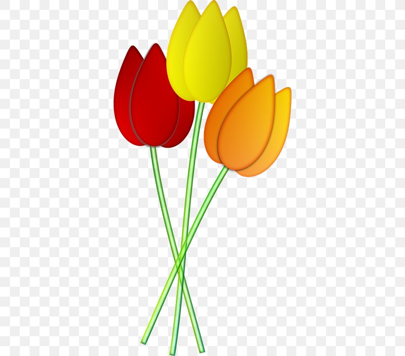 Lily Flower Cartoon, PNG, 360x720px, Tulip, Bulb, Cut Flowers, Flower, Lily Family Download Free