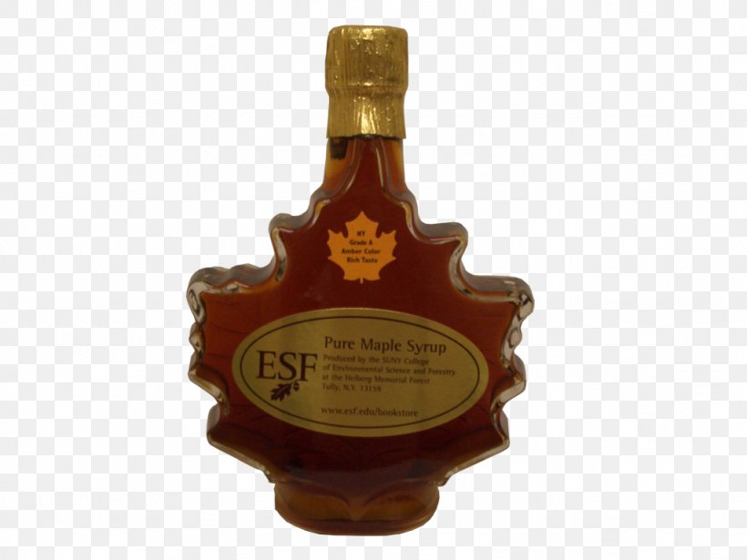Liqueur Maple Syrup SUNY College Of Environmental Science And Forestry, PNG, 1024x768px, Watercolor, Cartoon, Flower, Frame, Heart Download Free