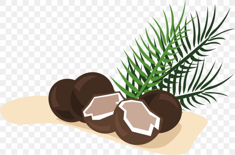 Coconut Clip Art, PNG, 1234x815px, Coconut, Drawing, Fruit, Grass, Plant Download Free