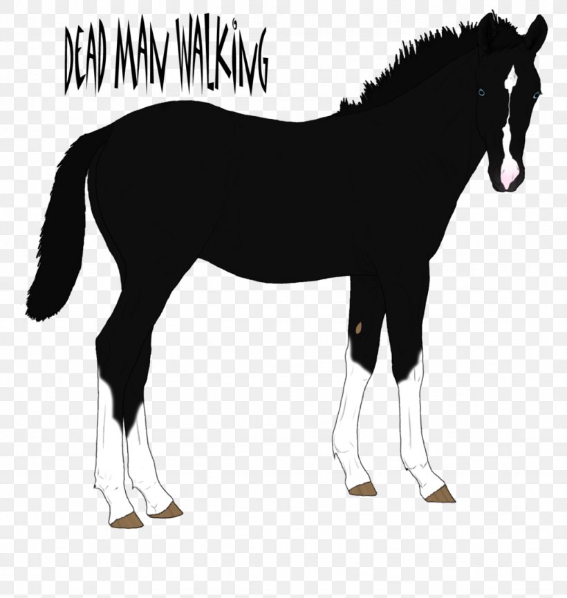 Mane Mustang Foal Stallion Colt, PNG, 1024x1081px, Mane, Bridle, Colt, Foal, Halter Download Free