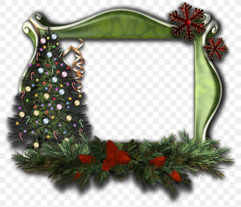 Picture Frames Christmas PhotoScape, PNG, 800x703px, Picture Frames, Christmas, Christmas Decoration, Christmas Ornament, Conifer Download Free